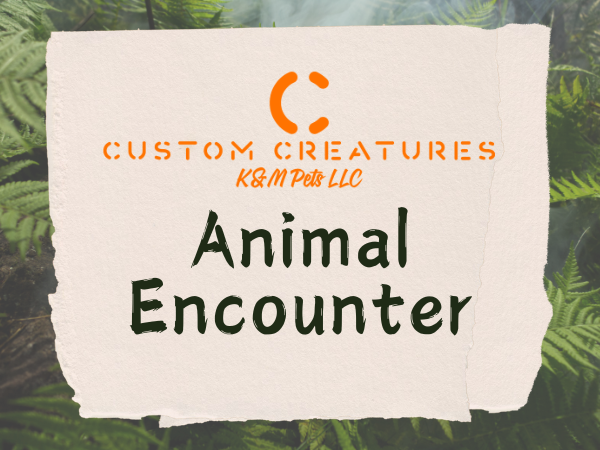 Animal_Encounter_EC