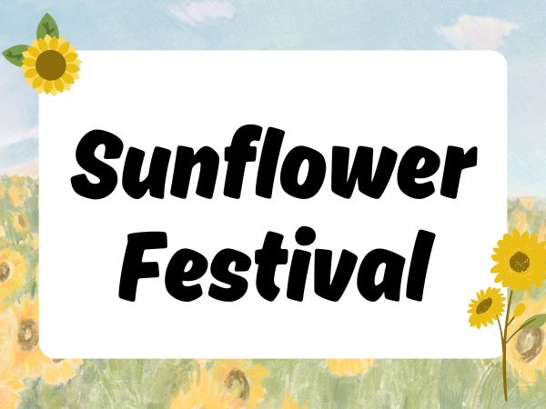 Sunflower_Festival_EC