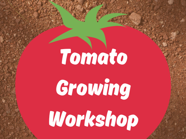 Tomato_Workshop_EC